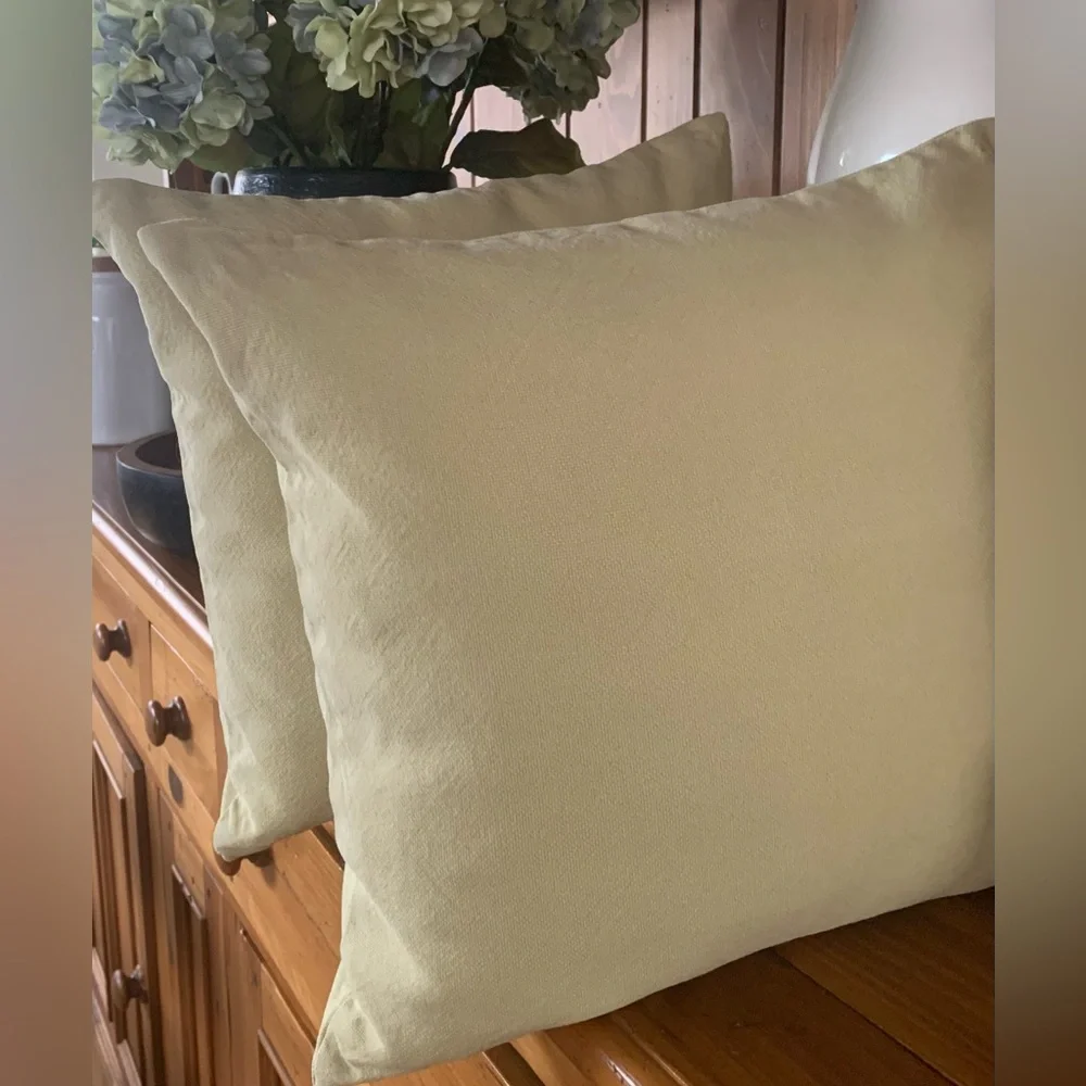 Pottery Barn Light Green Pillow Covers 18” Inserts not included